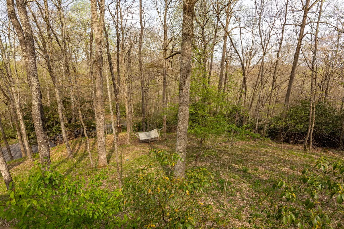 A peaceful backyard scene featuring a hammock strung between tall trees, surrounded by lush green foliage. The setting invites moments of quiet relaxation, daydreaming, or reading after a day of exploring nearby attractions.